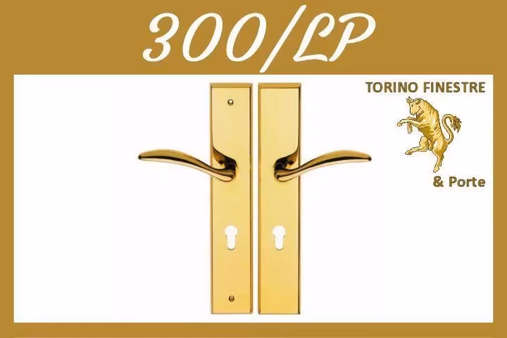 Maniglia Frascio 300/LP