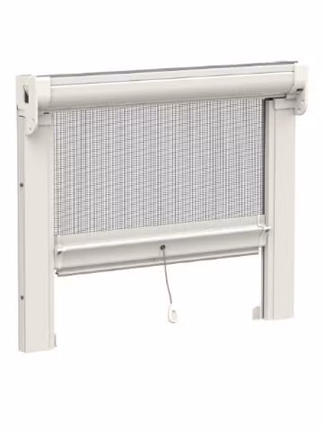 mv line irene antivento