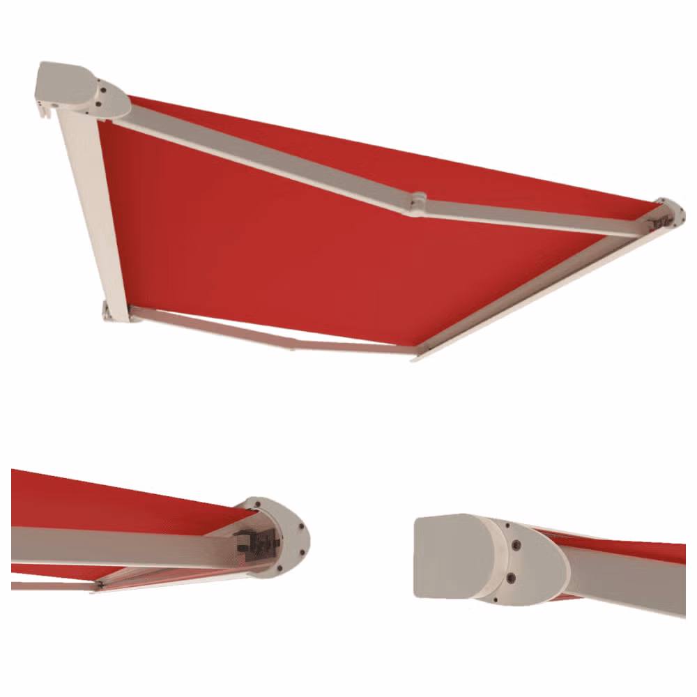 meccanismo T-Rex automatica