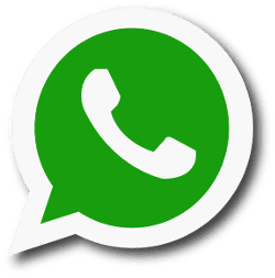 whatsapp nel sito